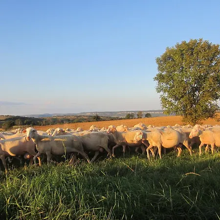 La Roulotte D'alcas Hétvégi ház *